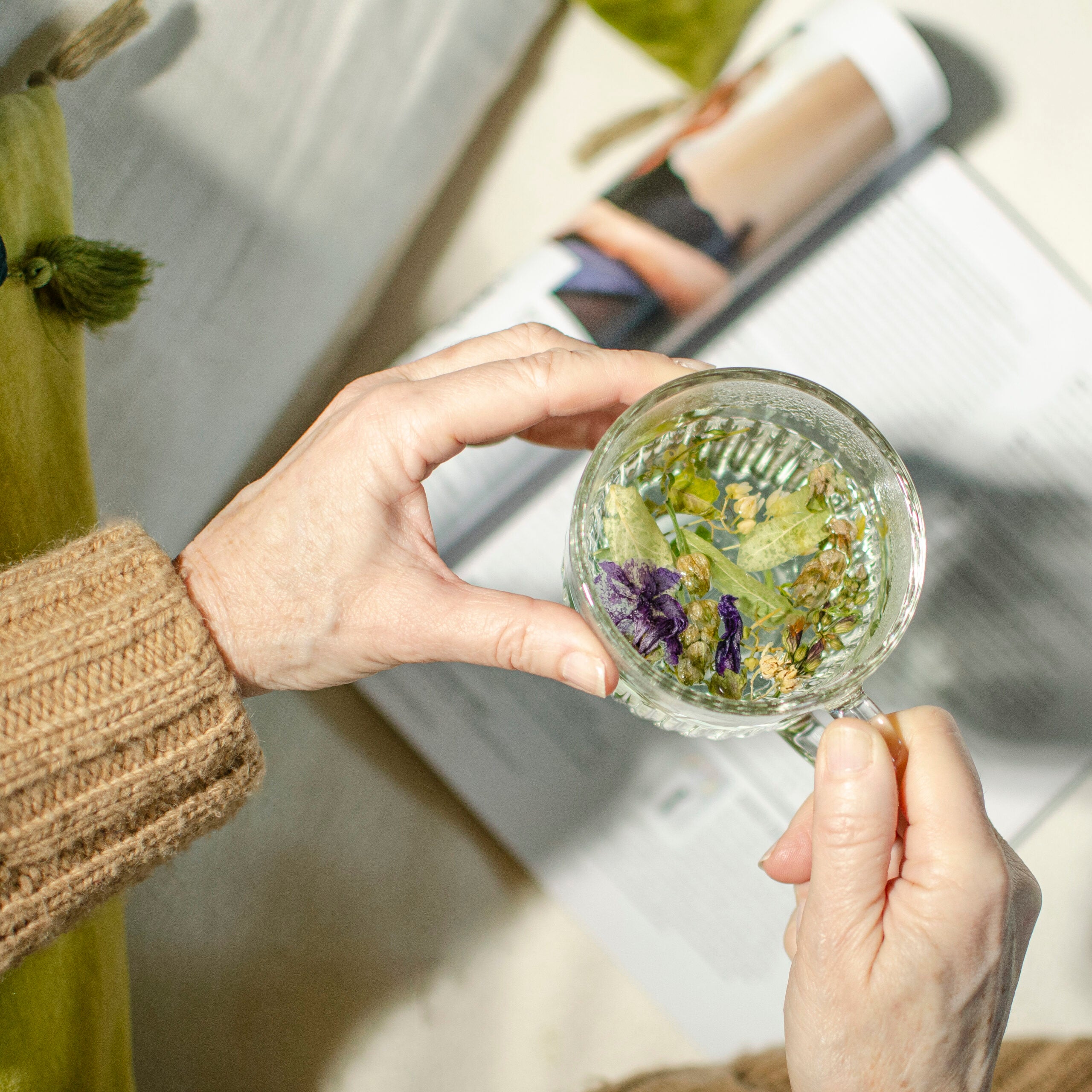 Les bienfaits des plantes sur votre santé