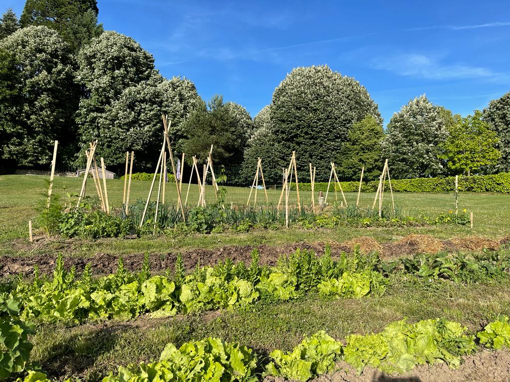 Le jardin potager, terre d’abondance