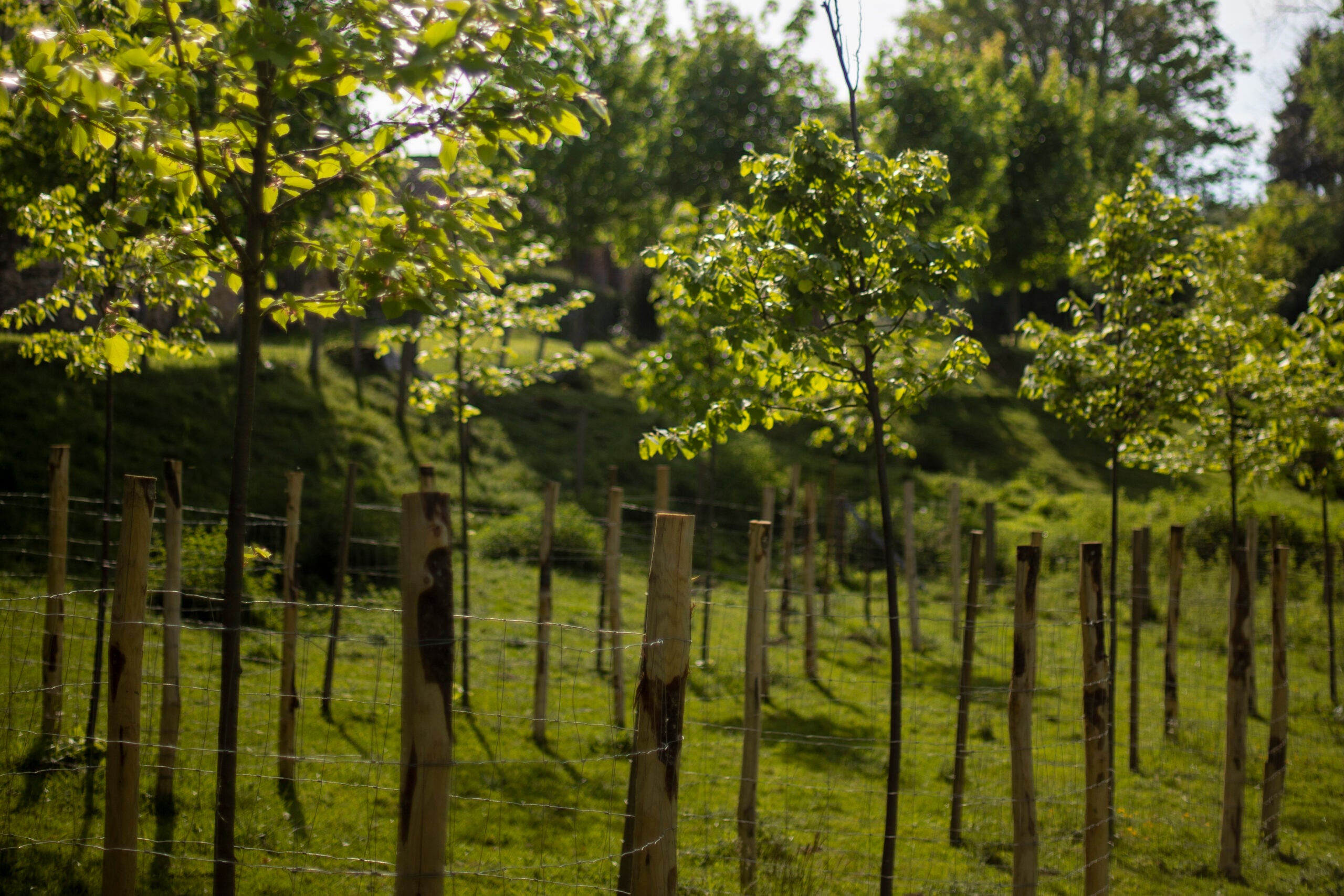 Vert par nature