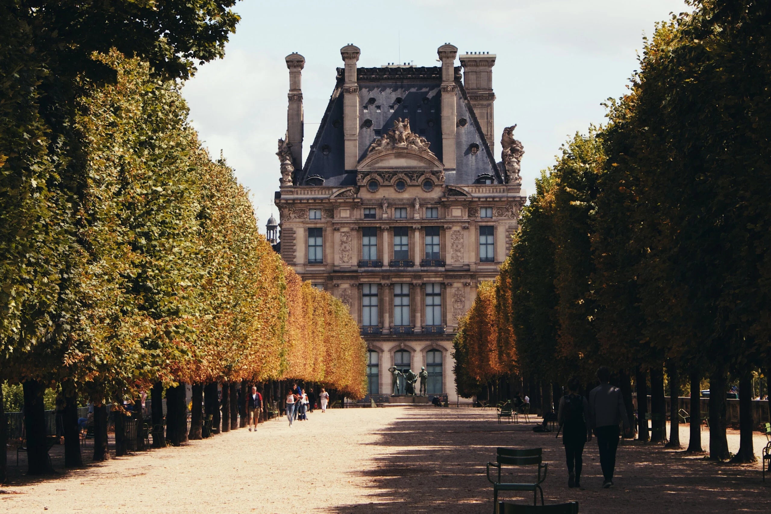 Le Tilleul, star des jardins à la française